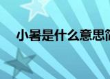小暑是什么意思简单说明（什么是小暑）