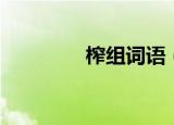 榨组词语（榨字怎么组词）