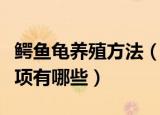 鳄鱼龟养殖方法（鳄鱼龟的养殖方法及注意事项有哪些）