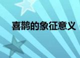 喜鹊的象征意义（喜鹊的象征意义介绍）