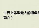 世界上体型最大的海龟是什么龟（世界上体型最大的海龟的简介）