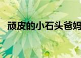 顽皮的小石头爸妈离婚了（顽皮的小石头）
