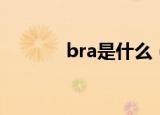 bra是什么（关于bra的解析）