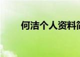 何洁个人资料简介（何洁是哪里人）