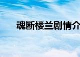 魂断楼兰剧情介绍（讲的是什么故事）