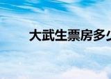 大武生票房多少（讲述里什么故事）