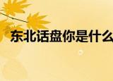 东北话盘你是什么意思（盘你是什么意思）