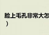 脸上毛孔非常大怎么办（脸上的毛孔大怎么办）