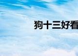 狗十三好看吗（狗十三评价）