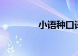 小语种口译（小语种翻译）
