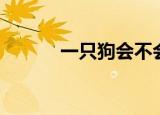 一只狗会不会太孤单（太孤单）