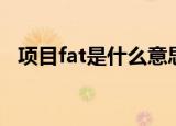 项目fat是什么意思啊（fat是什么意思啊）