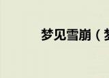 梦见雪崩（梦见雪崩代表什么）