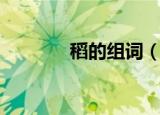 稻的组词（稻的组词有哪些）