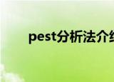 pest分析法介绍（pest分析法简介）