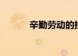 辛勤劳动的拼音（劳动的拼音）