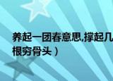 养起一团春意思,撑起几根穷骨头（养活一团春意思 撑起两根穷骨头）