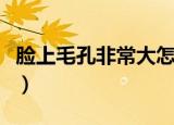 脸上毛孔非常大怎么办（脸上的毛孔大怎么办）