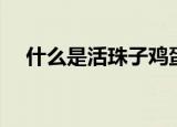 什么是活珠子鸡蛋（活珠子鸡蛋是什么）