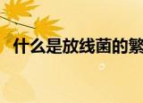 什么是放线菌的繁殖器官（什么是放线菌）