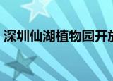 深圳仙湖植物园开放了吗（深圳仙湖植物园）