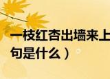 一枝红杏出墙来上一句（一枝红杏出墙来上一句是什么）