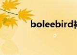 boleebird衬衫（boleebird）