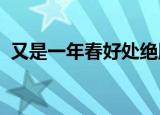 又是一年春好处绝胜烟柳满皇都是什么意思