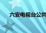 六安电视台公共频道（六安公共频道）