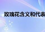 玫瑰花含义和代表什么（玫瑰花含义介绍）