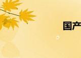  国产汽车有哪些