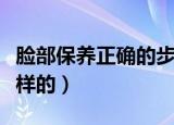 脸部保养正确的步骤（脸部保养正确顺序是怎样的）