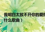 我明白太放不开你的爱指什么歌（我明白太放不开你的爱指什么歌曲）