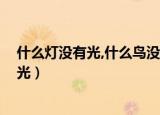 什么灯没有光,什么鸟没有嘴,什么兔子没有毛（什么灯没有光）