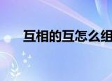 互相的互怎么组词（互的组词有哪些）