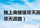 独上高楼望尽天涯路是什么体裁（独上高楼望尽天涯路）