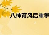 八神宵风后重拳接大葵花（八神宵风）
