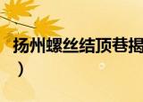 扬州螺丝结顶巷揭秘（扬州螺丝结顶和无灯巷）
