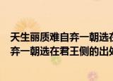 天生丽质难自弃一朝选在君王侧是什么意思（天生丽质难自弃一朝选在君王侧的出处）