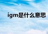 igm是什么意思（igm具体是什么意思）