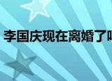 李国庆现在离婚了吗（李国庆承认有过家暴）