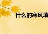 什么的寒风填词语（什么的寒风）