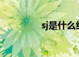 sj是什么组合（sjm组合）