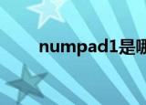 numpad1是哪个键?（numpad1）