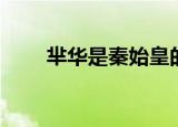 芈华是秦始皇的什么人（芈华是谁）