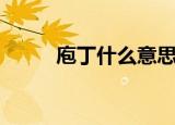 庖丁什么意思（庖丁是什么意思）