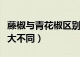 藤椒与青花椒区别是什么（藤椒和青花椒的五大不同）