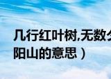 几行红叶树,无数夕阳山（几行红叶树 无数夕阳山的意思）