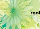   root 是什么意思