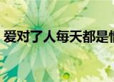 爱对了人每天都是情人节歌词（情人节歌词）
